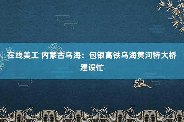 在线美工 内蒙古乌海：包银高铁乌海黄河特大桥建设忙