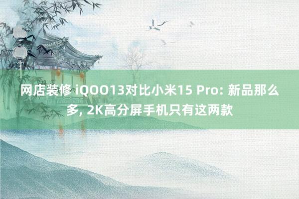 网店装修 iQOO13对比小米15 Pro: 新品那么多, 2K高分屏手机只有这两款